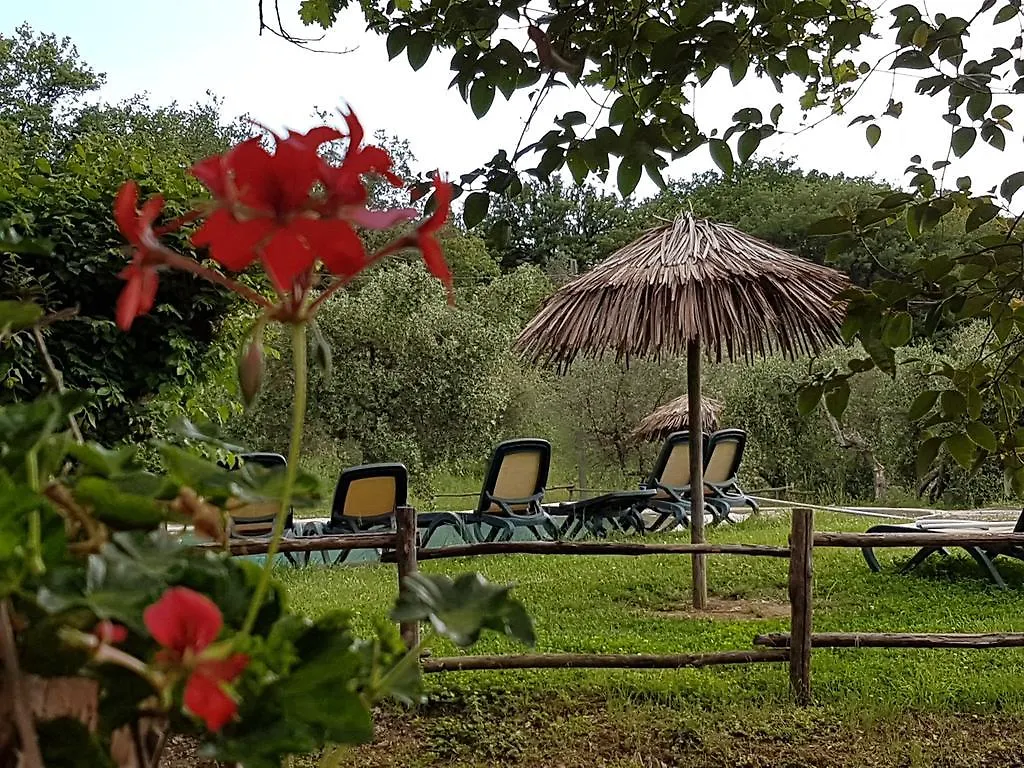 Tenuta Col Di Sasso Guest House Scarlino Летний дом