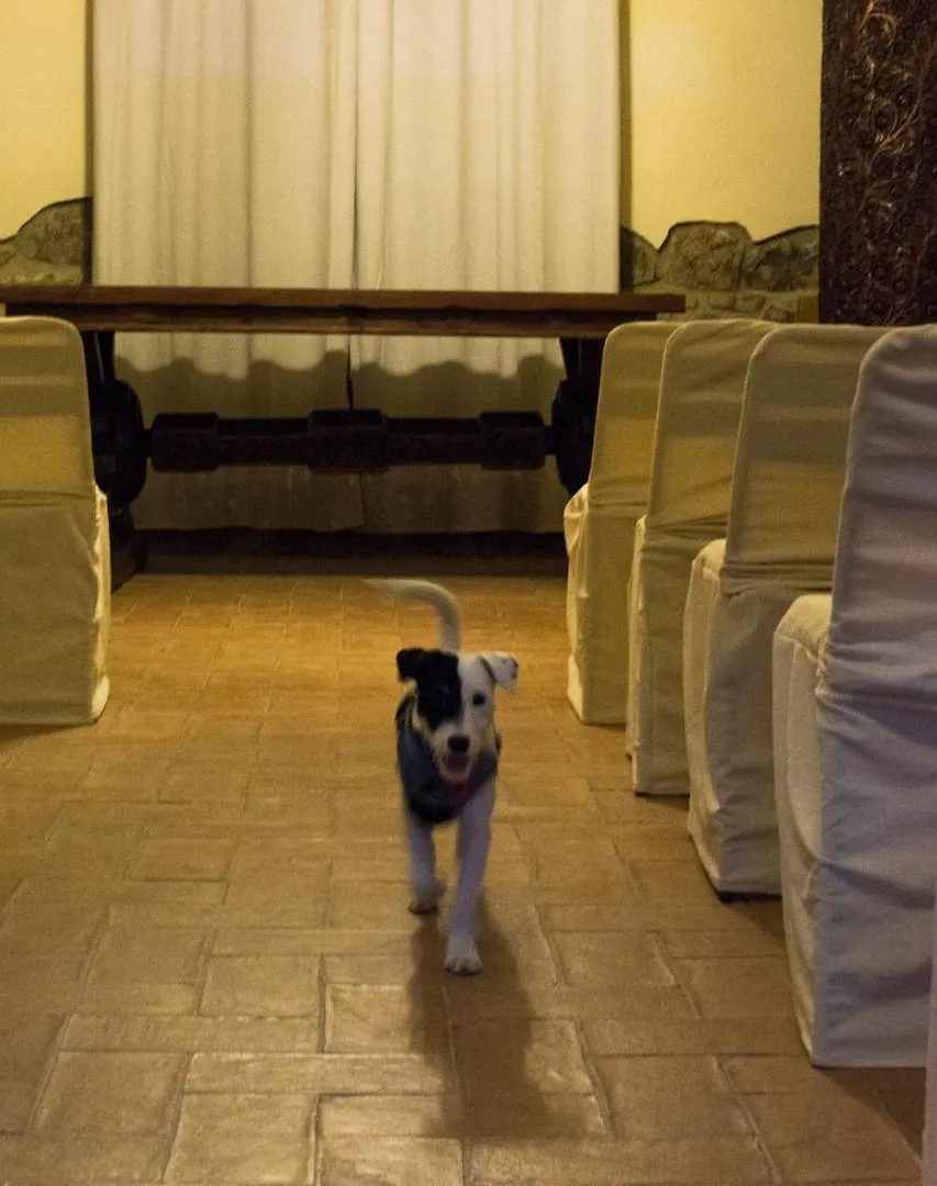 Tenuta Col Di Sasso Guest House Scarlino