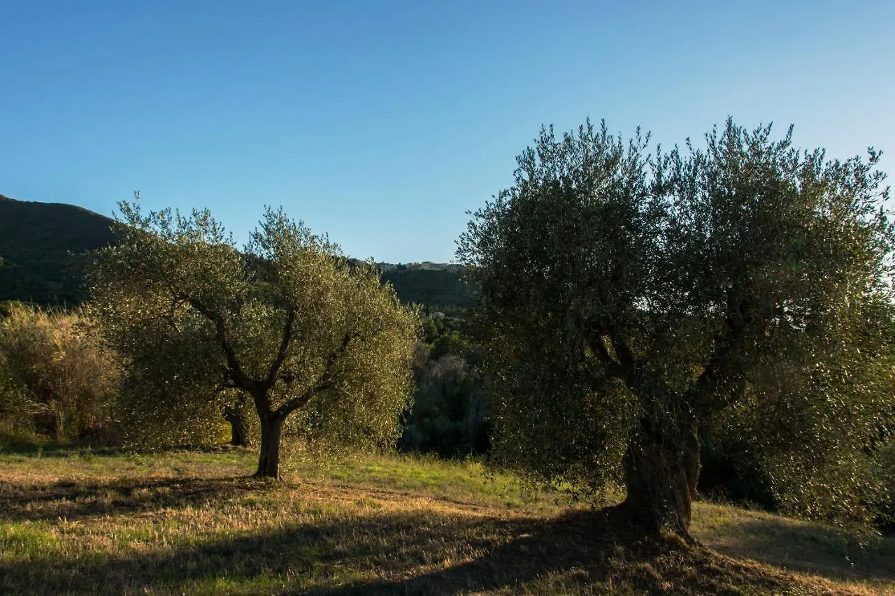 Tenuta Col Di Sasso Guest House Scarlino 0*,  Италия