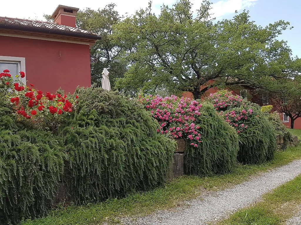 Tenuta Col Di Sasso Scarlino Italien
