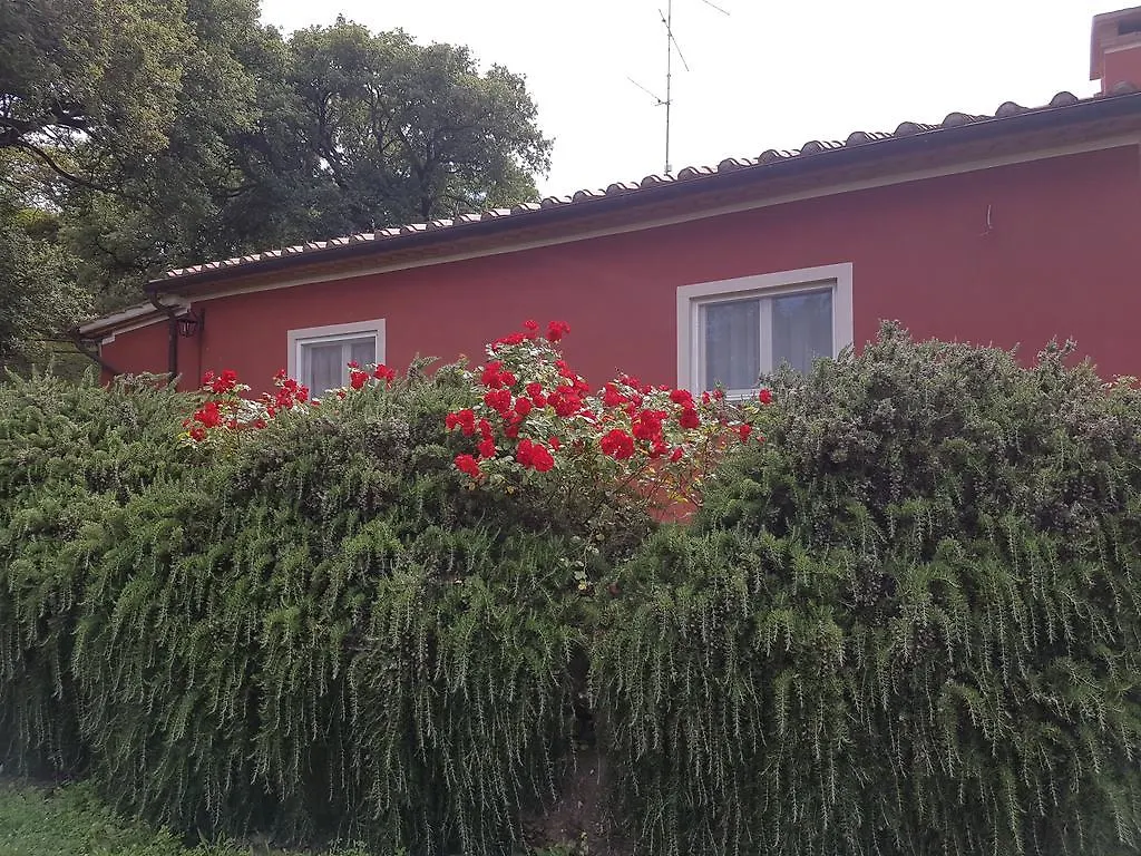 Landsted Tenuta Col Di Sasso Scarlino Italien