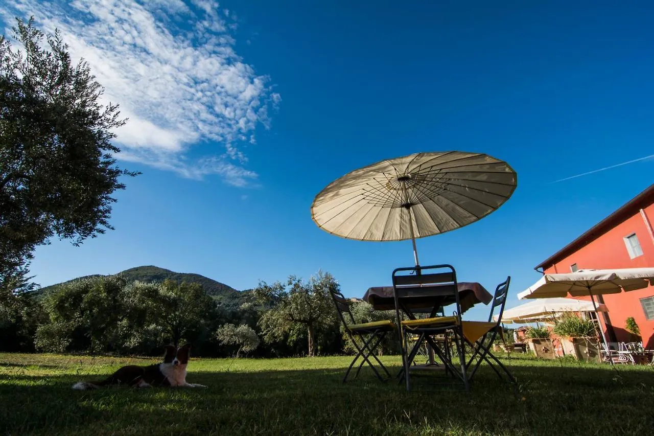 Tenuta Col Di Sasso Scarlino Landsted