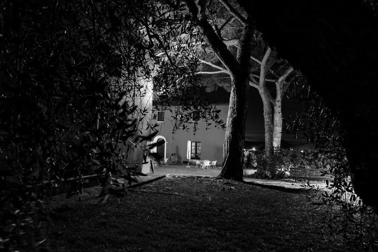 Tenuta Col Di Sasso Scarlino