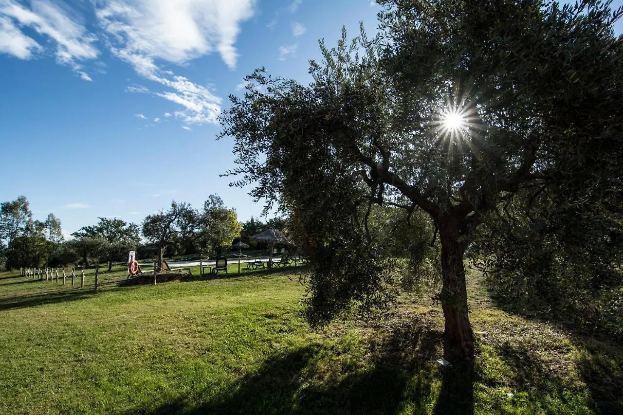Tenuta Col Di Sasso Scarlino Landsted