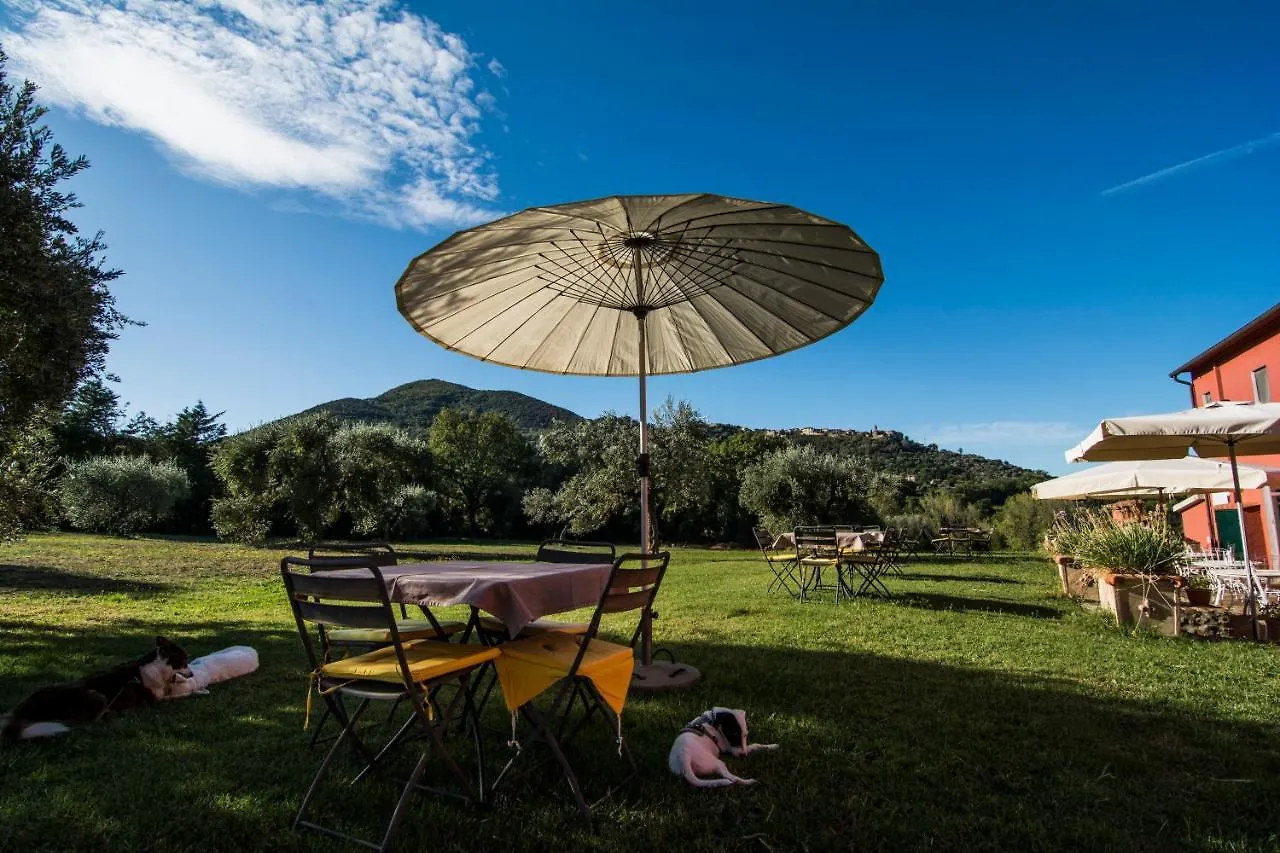 Tenuta Col Di Sasso Scarlino Landsted